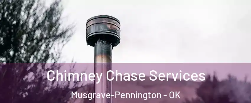 Chimney Chase Services Musgrave-Pennington - OK