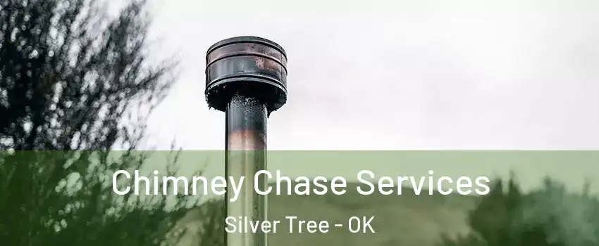 Chimney Chase Services Silver Tree - OK