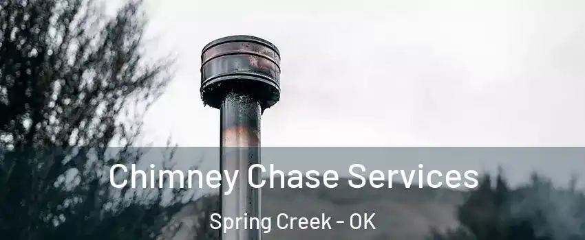 Chimney Chase Services Spring Creek - OK