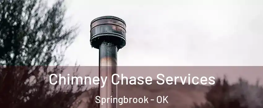 Chimney Chase Services Springbrook - OK