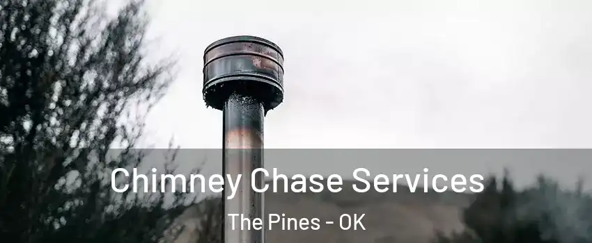 Chimney Chase Services The Pines - OK