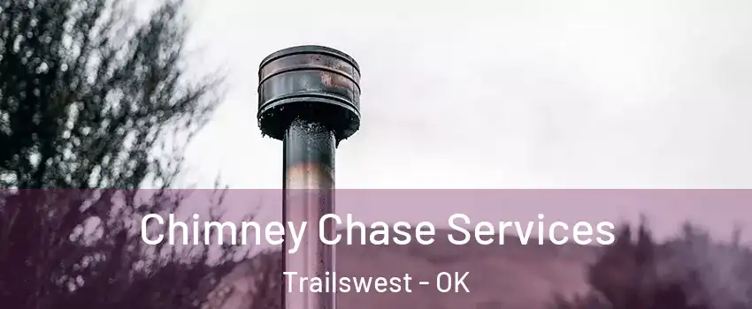 Chimney Chase Services Trailswest - OK