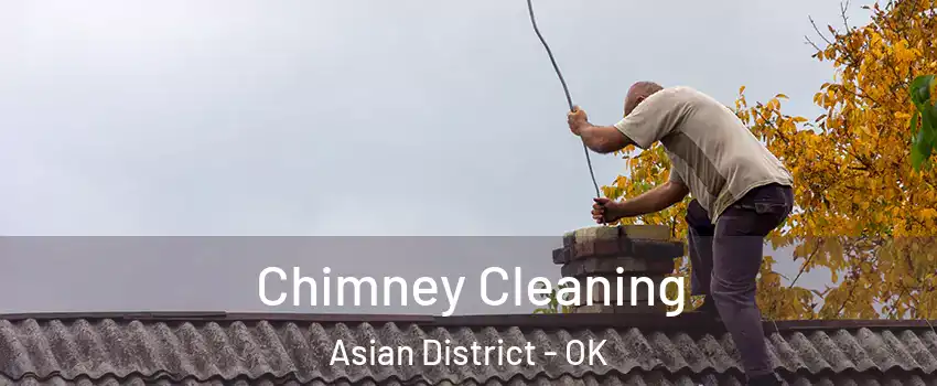 Chimney Cleaning Asian District - OK