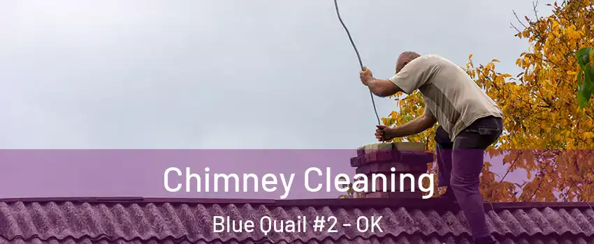 Chimney Cleaning Blue Quail #2 - OK