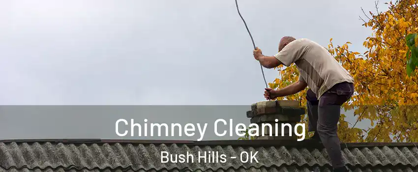 Chimney Cleaning Bush Hills - OK