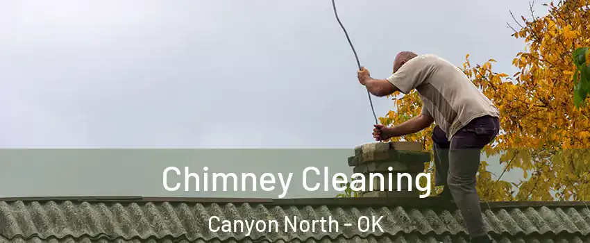 Chimney Cleaning Canyon North - OK