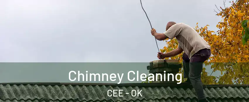 Chimney Cleaning CEE - OK