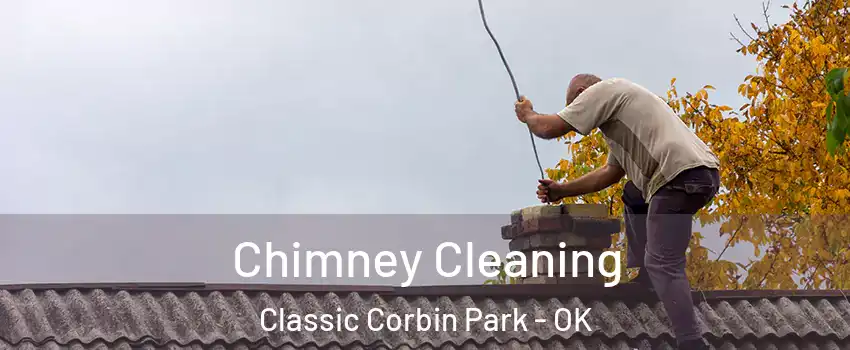 Chimney Cleaning Classic Corbin Park - OK