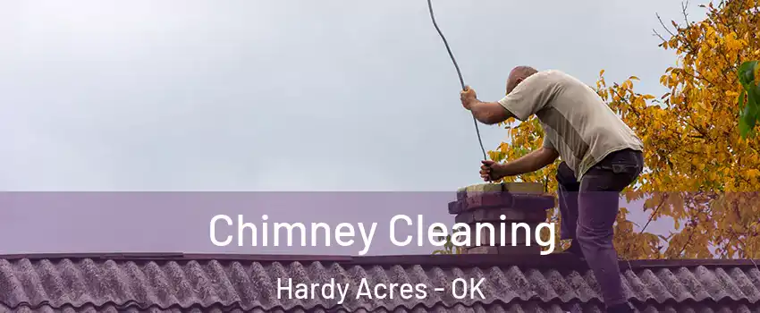 Chimney Cleaning Hardy Acres - OK