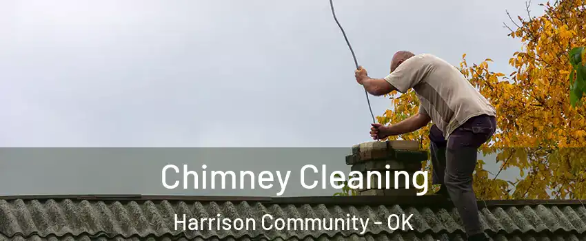 Chimney Cleaning Harrison Community - OK