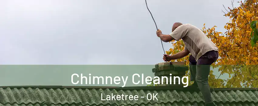 Chimney Cleaning Laketree - OK