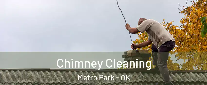 Chimney Cleaning Metro Park - OK