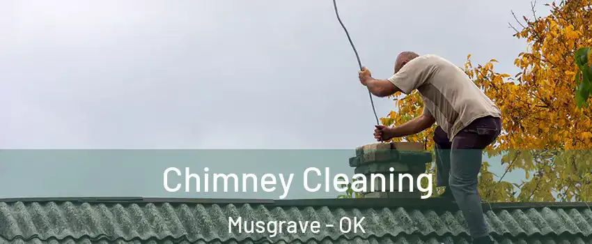 Chimney Cleaning Musgrave - OK