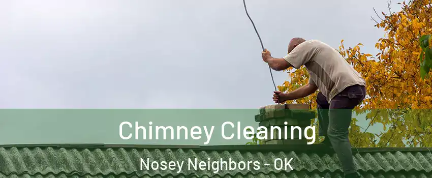 Chimney Cleaning Nosey Neighbors - OK