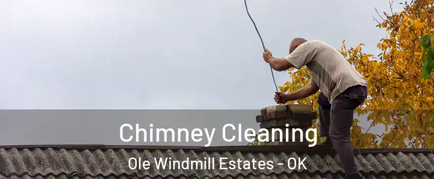 Chimney Cleaning Ole Windmill Estates - OK
