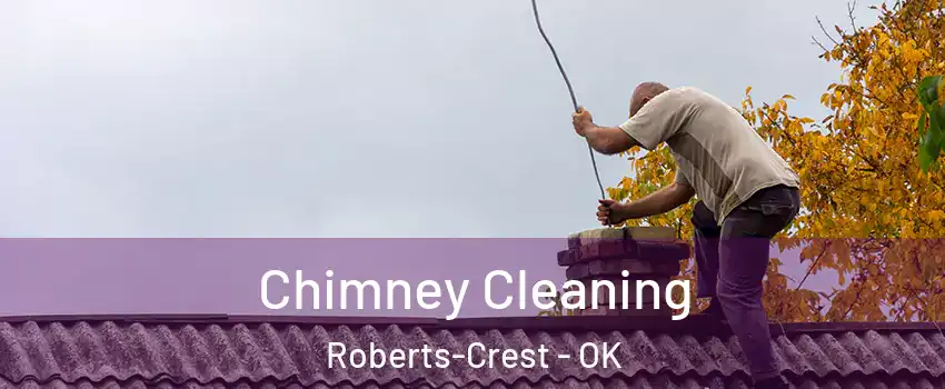 Chimney Cleaning Roberts-Crest - OK