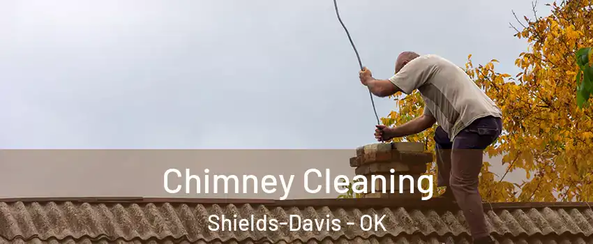 Chimney Cleaning Shields-Davis - OK