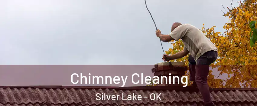 Chimney Cleaning Silver Lake - OK