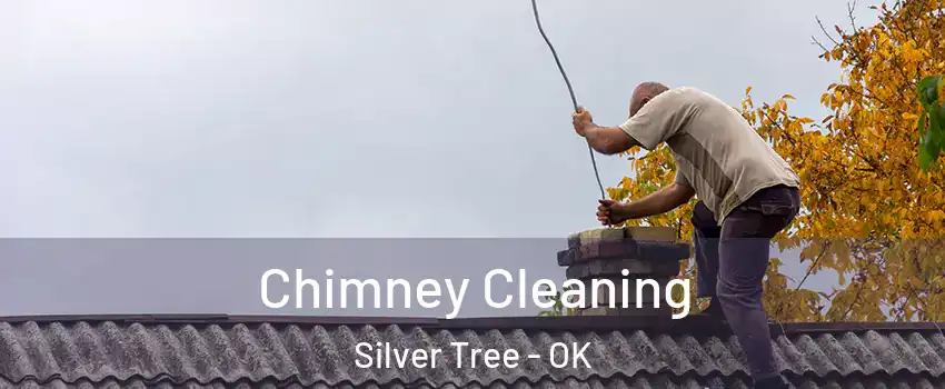 Chimney Cleaning Silver Tree - OK