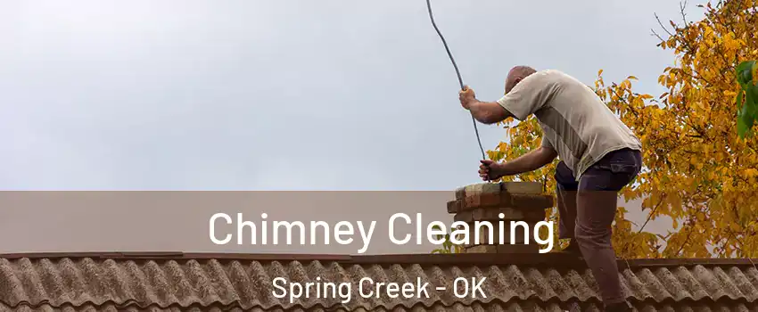 Chimney Cleaning Spring Creek - OK