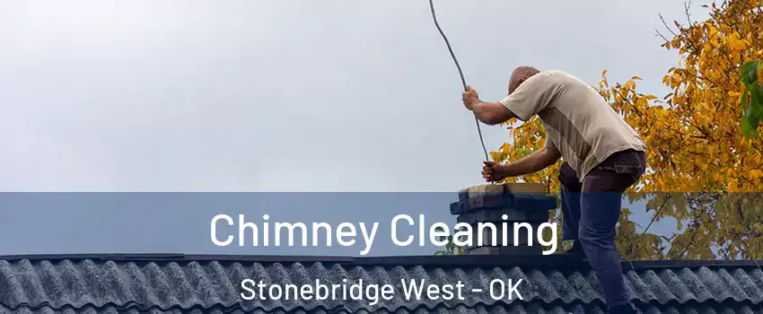 Chimney Cleaning Stonebridge West - OK