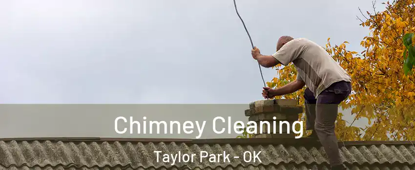 Chimney Cleaning Taylor Park - OK
