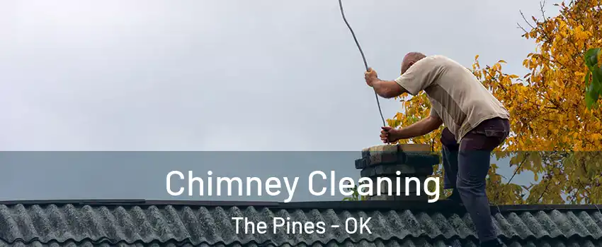 Chimney Cleaning The Pines - OK