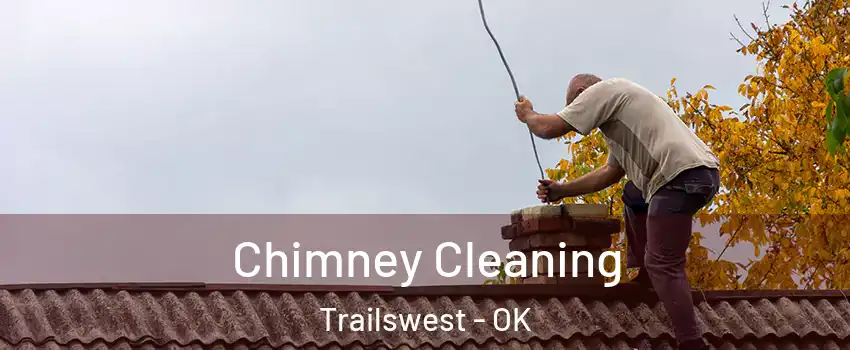 Chimney Cleaning Trailswest - OK
