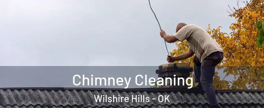 Chimney Cleaning Wilshire Hills - OK