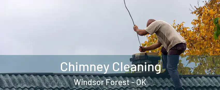 Chimney Cleaning Windsor Forest - OK