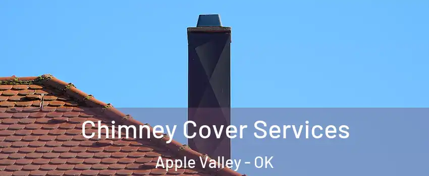 Chimney Cover Services Apple Valley - OK