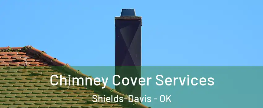 Chimney Cover Services Shields-Davis - OK