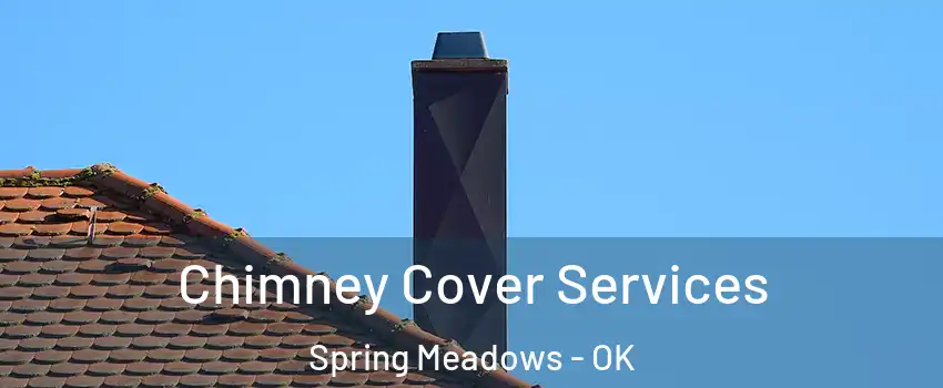 Chimney Cover Services Spring Meadows - OK