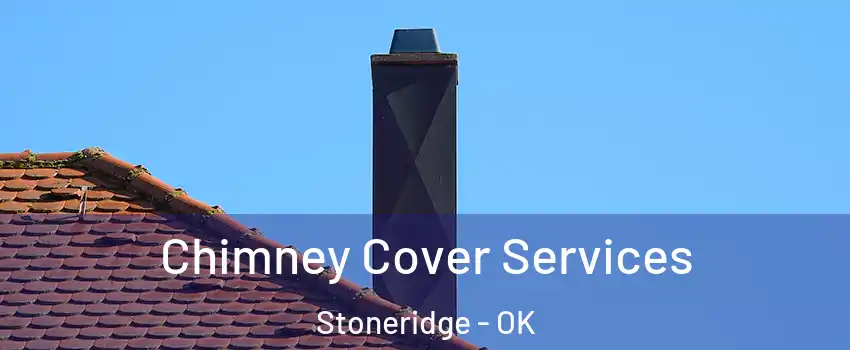 Chimney Cover Services Stoneridge - OK