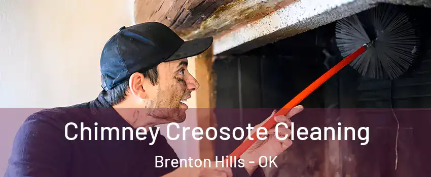 Chimney Creosote Cleaning Brenton Hills - OK