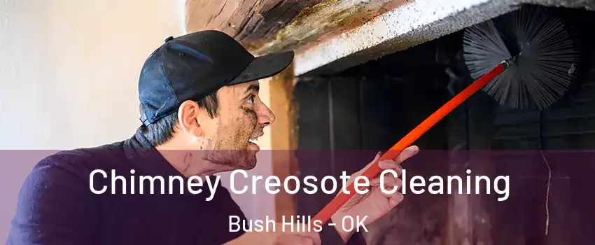 Chimney Creosote Cleaning Bush Hills - OK