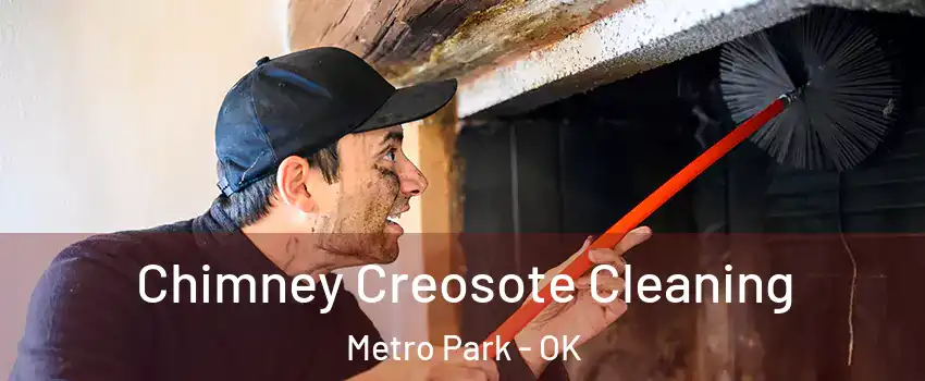 Chimney Creosote Cleaning Metro Park - OK