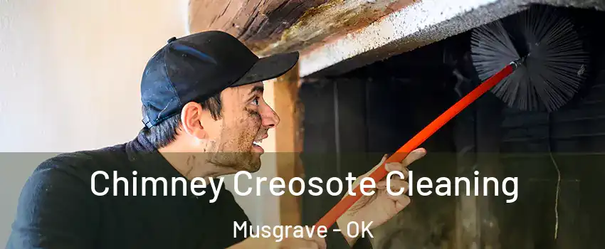 Chimney Creosote Cleaning Musgrave - OK