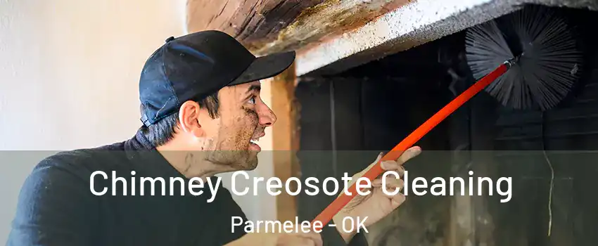 Chimney Creosote Cleaning Parmelee - OK