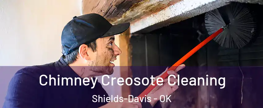 Chimney Creosote Cleaning Shields-Davis - OK