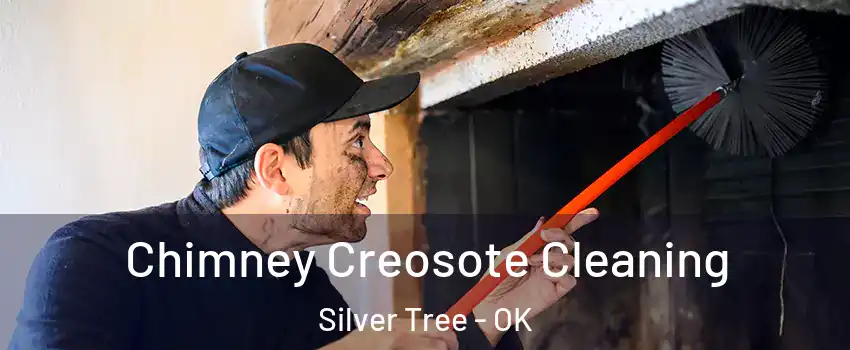 Chimney Creosote Cleaning Silver Tree - OK