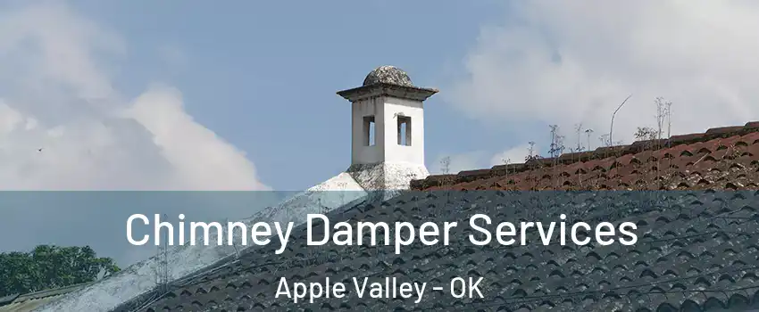 Chimney Damper Services Apple Valley - OK