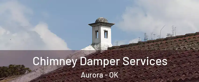 Chimney Damper Services Aurora - OK