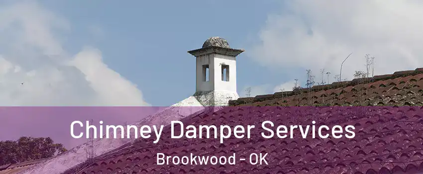 Chimney Damper Services Brookwood - OK