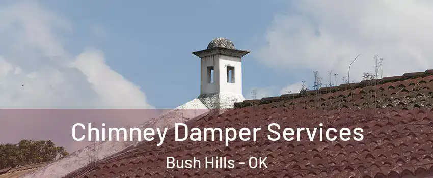 Chimney Damper Services Bush Hills - OK