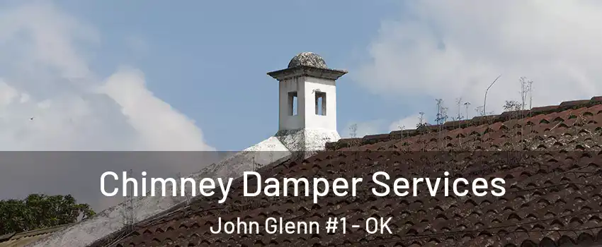 Chimney Damper Services John Glenn #1 - OK
