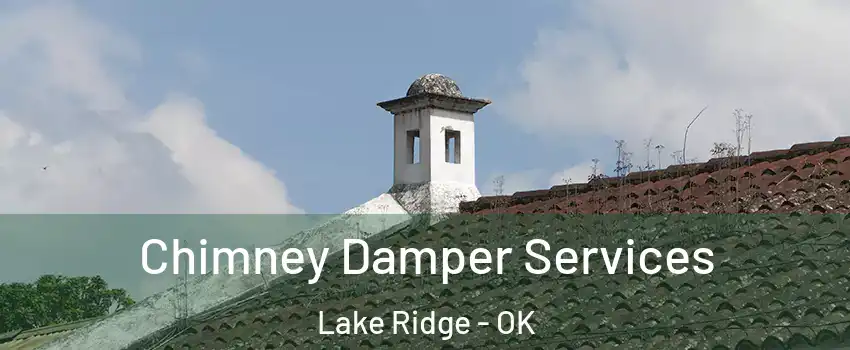 Chimney Damper Services Lake Ridge - OK