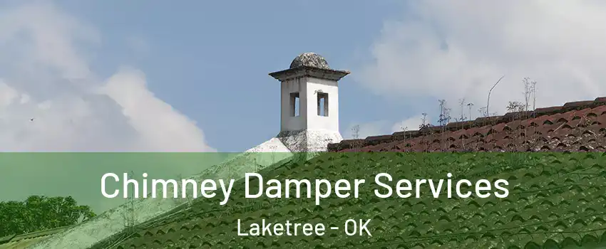 Chimney Damper Services Laketree - OK