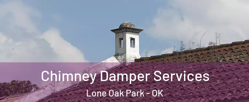 Chimney Damper Services Lone Oak Park - OK