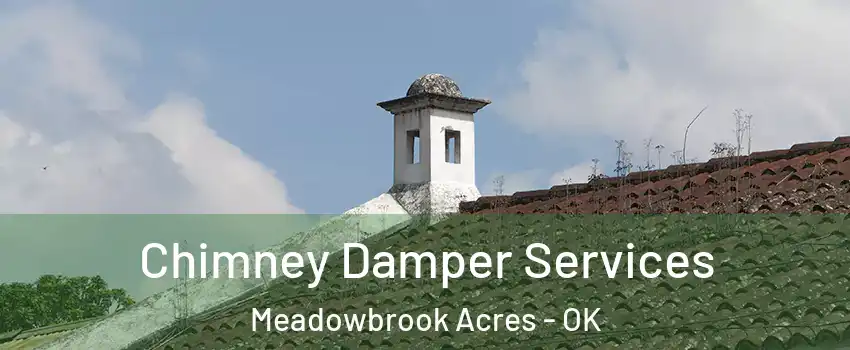 Chimney Damper Services Meadowbrook Acres - OK